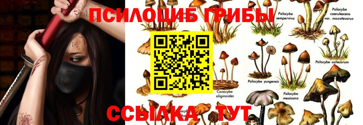 Галлюциногенные грибы MAGIC MUSHROOMS Зеленокумск
