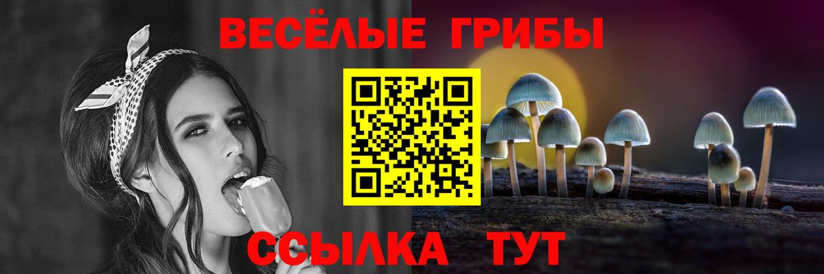 Галлюциногенные грибы Cubensis  Вход с VPN  Зеленокумск  даркнет сайт  Псилоцибиновые грибы MAGIC MUSHROOMS 
